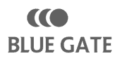 Blue Gate Sapphire BG7i Factory Hard Reset